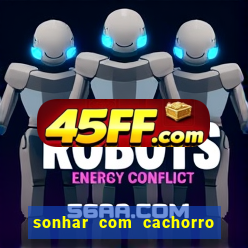 sonhar com cachorro cruzando jogo do bicho
